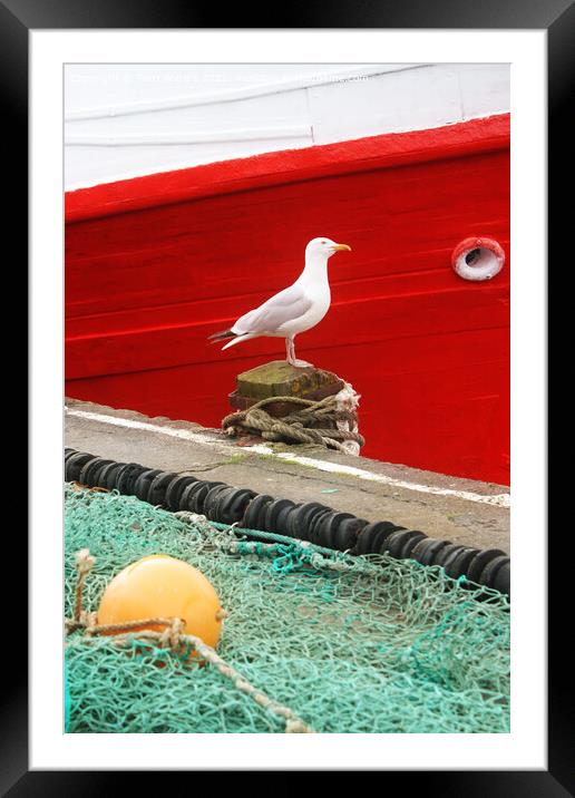 Thinking of Fish Framed Mounted Print by Terri Waters