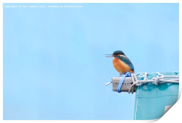 Calling Kingfisher Print by Terri Waters