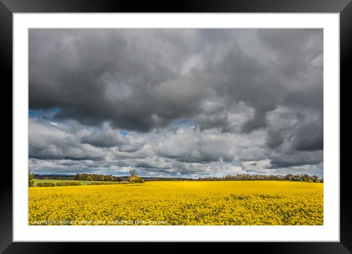 Stormy Sky and Rape May 2021 (2) Framed Mounted Print by Richard Laidler