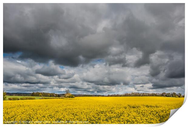 Stormy Sky and Rape May 2021 (2) Print by Richard Laidler