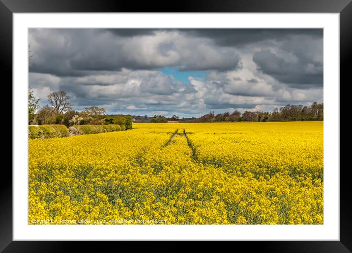 Stormy Sky and Rape May 2021 (1) Framed Mounted Print by Richard Laidler
