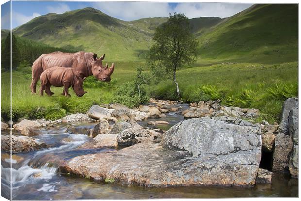 Rhinos in the Highlands Canvas Print by Sam Smith