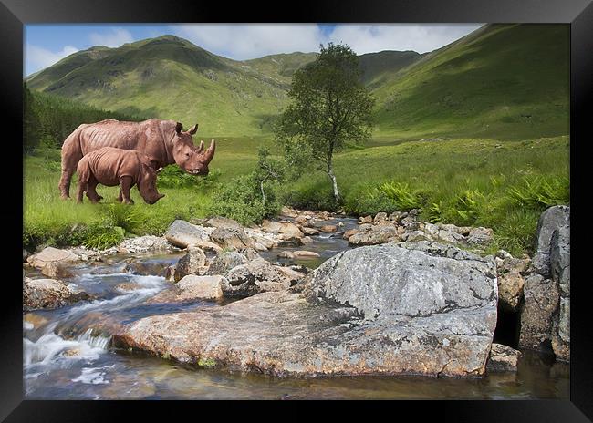 Rhinos in the Highlands Framed Print by Sam Smith