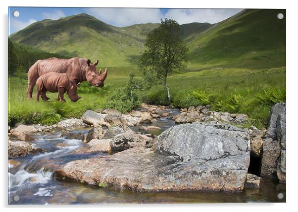 Rhinos in the Highlands Acrylic by Sam Smith