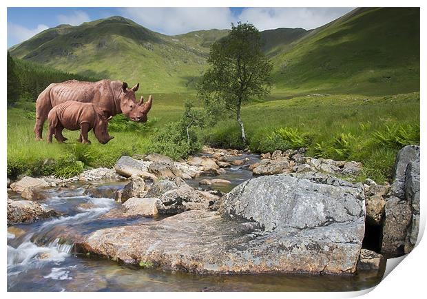 Rhinos in the Highlands Print by Sam Smith