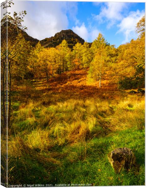 Autumn Colours Canvas Print by Nigel Wilkins