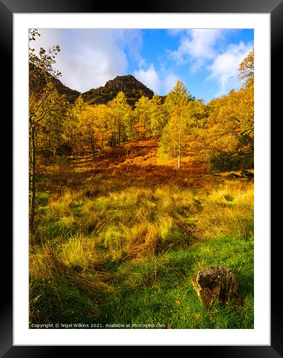 Autumn Colours Framed Mounted Print by Nigel Wilkins
