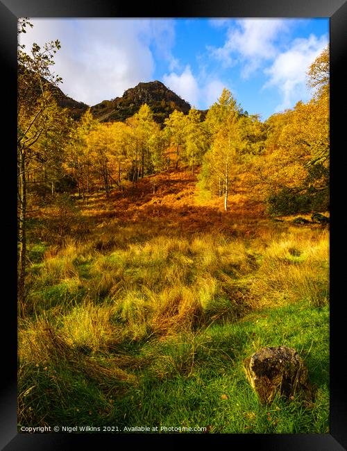 Autumn Colours Framed Print by Nigel Wilkins