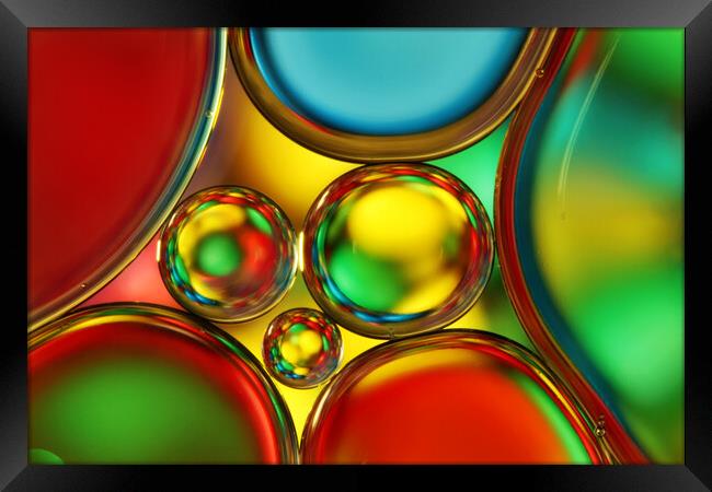 Rainbow Sprinkle Oil Drops Framed Print by Sharon Johnstone