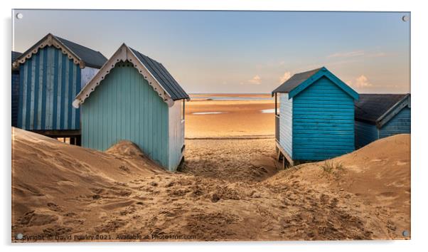 Beach View at Wells-next-the-sea North Norfolk Acrylic by David Powley