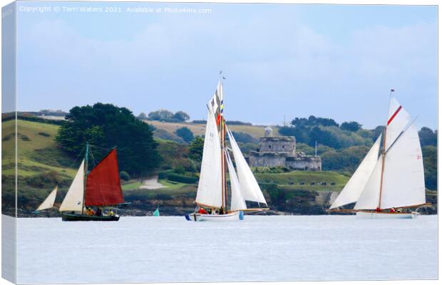 Sails at St Mawes Canvas Print by Terri Waters
