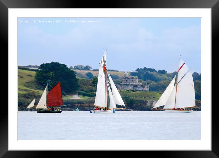 Sails at St Mawes Framed Mounted Print by Terri Waters