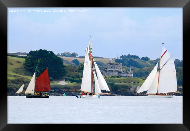 Sails at St Mawes Framed Print by Terri Waters