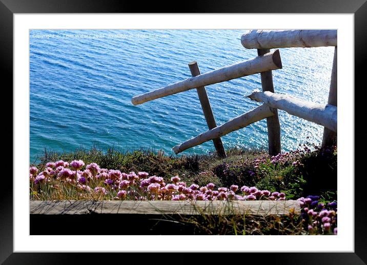 Clifftop Thrift Framed Mounted Print by Terri Waters
