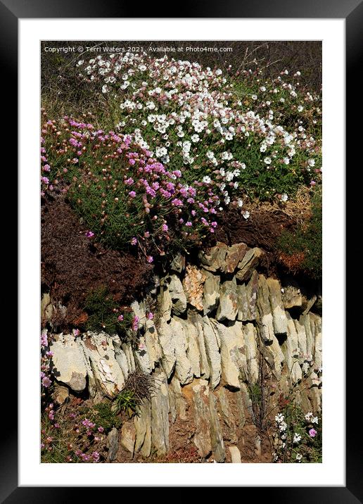 Cornish Hedge Framed Mounted Print by Terri Waters