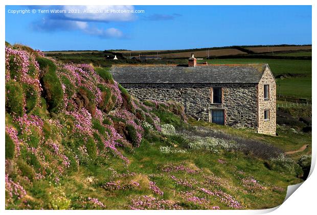 Dr Enys House in Spring Print by Terri Waters