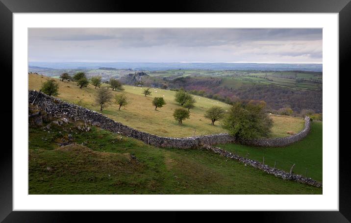 The green fields of Carmarthenshire Framed Mounted Print by Leighton Collins