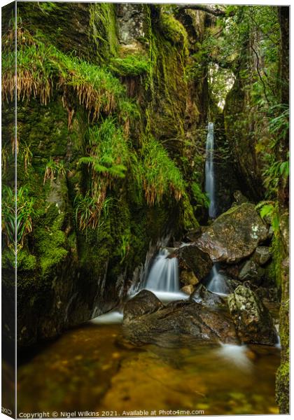 Dungeon Ghyll Force Canvas Print by Nigel Wilkins