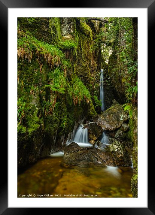 Dungeon Ghyll Force Framed Mounted Print by Nigel Wilkins