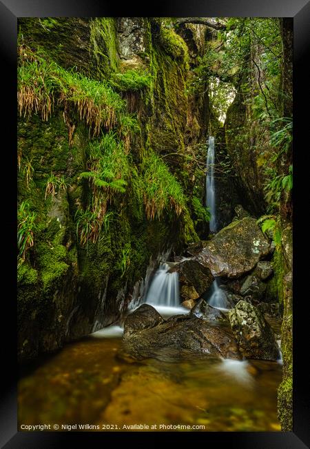 Dungeon Ghyll Force Framed Print by Nigel Wilkins