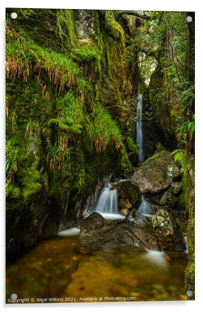 Dungeon Ghyll Force Acrylic by Nigel Wilkins