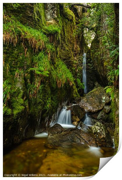 Dungeon Ghyll Force Print by Nigel Wilkins