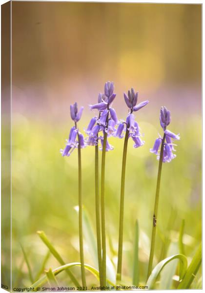 Bluebells to attention Canvas Print by Simon Johnson