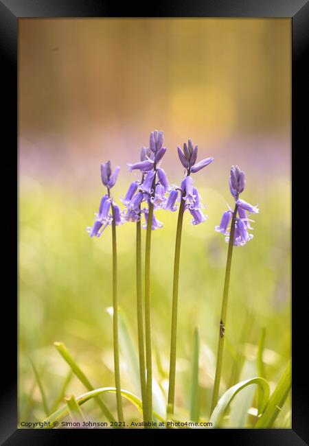 Bluebells to attention Framed Print by Simon Johnson