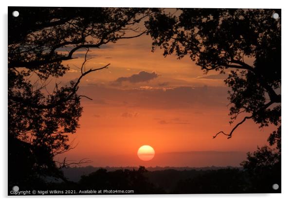 Sunset Acrylic by Nigel Wilkins