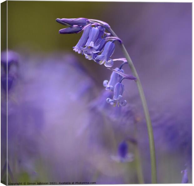 Bluebell close up Canvas Print by Simon Johnson