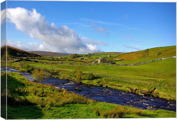 Summer in the Dales Canvas Print by Trevor Kersley RIP