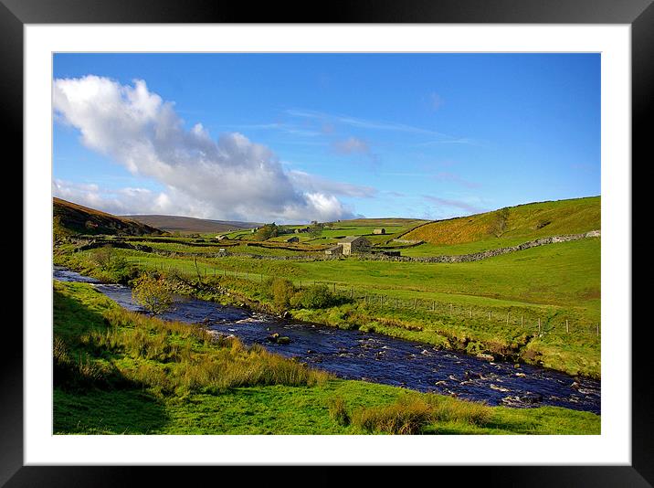 Summer in the Dales Framed Mounted Print by Trevor Kersley RIP