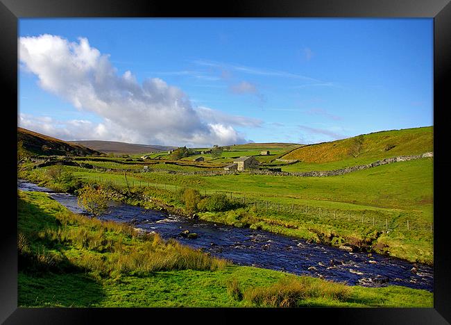 Summer in the Dales Framed Print by Trevor Kersley RIP