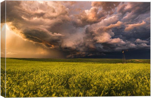 Montana stormy sunset over yellow rapeseed Canvas Print by John Finney