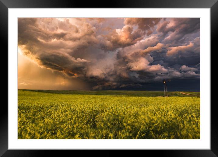 Montana stormy sunset over yellow rapeseed Framed Mounted Print by John Finney