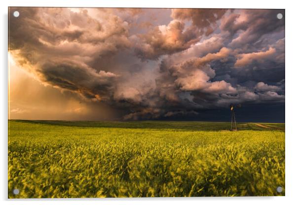 Montana stormy sunset over yellow rapeseed Acrylic by John Finney