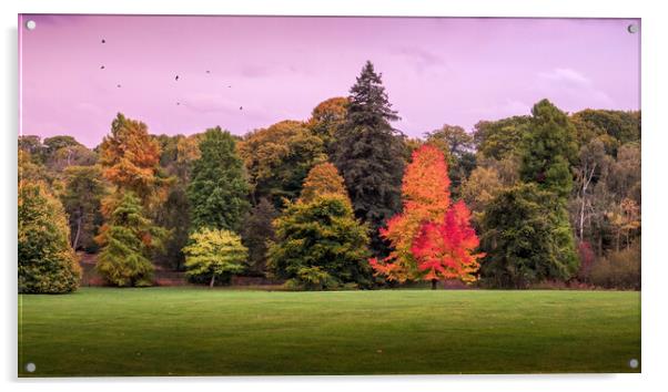 Autumn Trees, Hampstead Heath Acrylic by Mark Jones