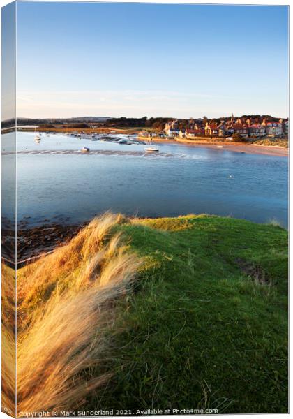 Alnmouth across the Aln Estuary from Church Hill Canvas Print by Mark Sunderland