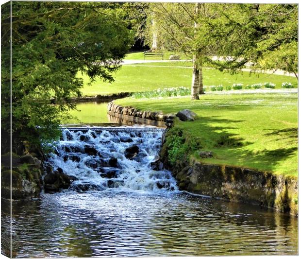 Serene Waterfall in Buxton Gardens Canvas Print by Mark Chesters
