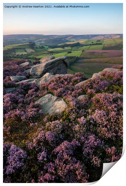 Heather at the Worm Stones, Glossop, Derbyshire Print by Andrew Kearton
