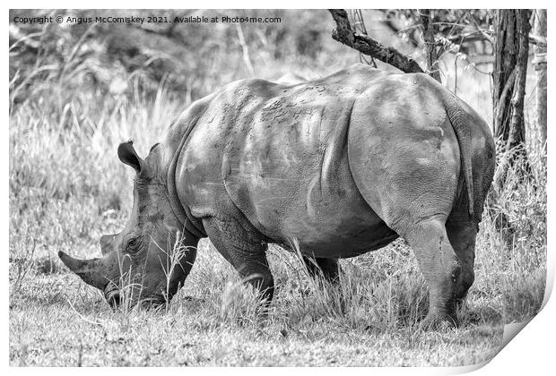 Southern White Rhino, Uganda mono Print by Angus McComiskey