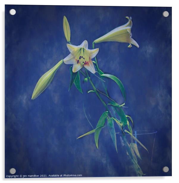 Lilies Acrylic by jim Hamilton