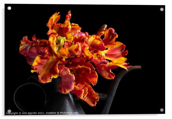 Flamboyant Rasta Parrot Tulips Acrylic by Ann Garrett