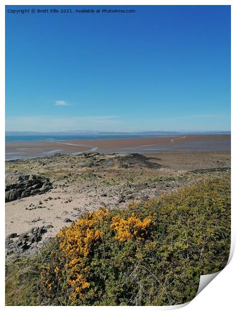 Heysham Cliffs Print by Brett Ellis