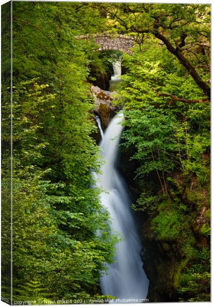 Aira Force Canvas Print by Nigel Wilkins