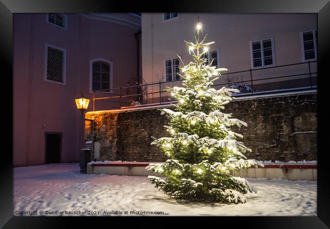 Christmas Tree Outside in the Snow Illuminated on a Winter Night Framed Print by Dietmar Rauscher