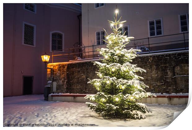 Christmas Tree Outside in the Snow Illuminated on a Winter Night Print by Dietmar Rauscher