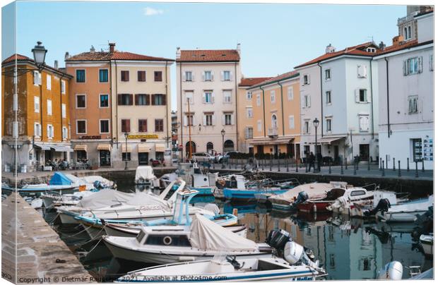Old Harbour of Muggia, Italy with Boats Canvas Print by Dietmar Rauscher