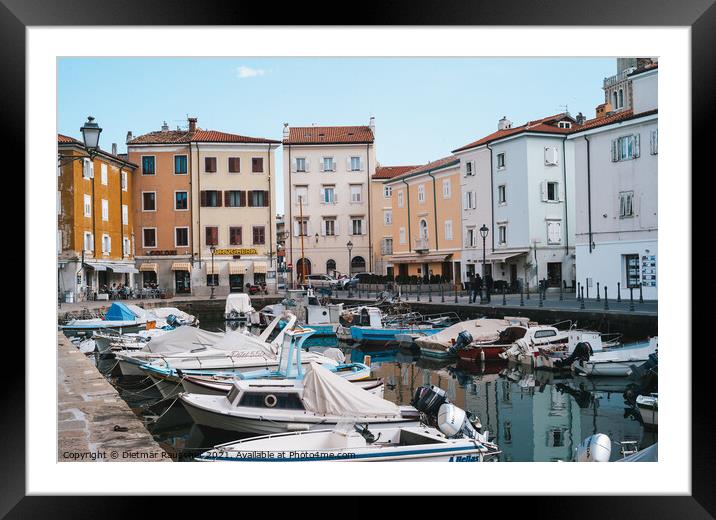 Old Harbour of Muggia, Italy with Boats Framed Mounted Print by Dietmar Rauscher