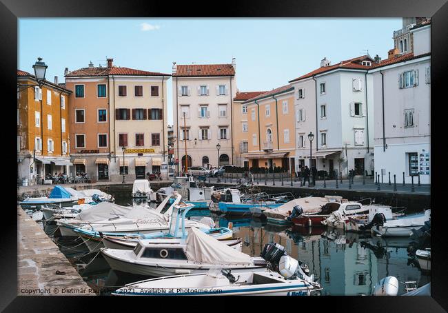 Old Harbour of Muggia, Italy with Boats Framed Print by Dietmar Rauscher